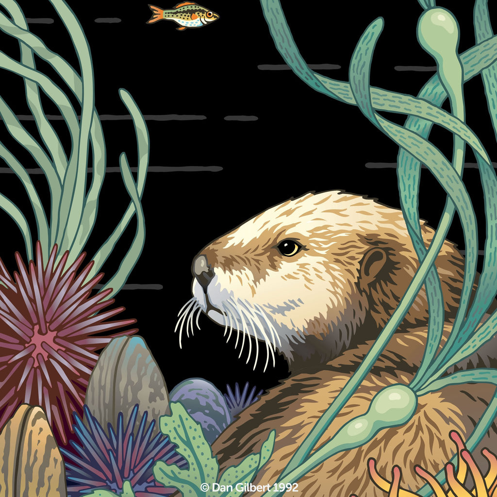 Limited Edition Giclée - Sea Otter - by Dan Gilbert