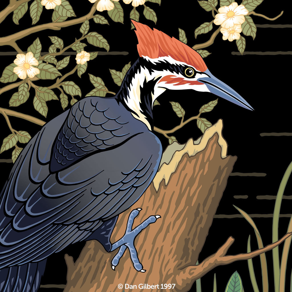 Limited Edition Giclée - Woodpecker - by Dan Gilbert