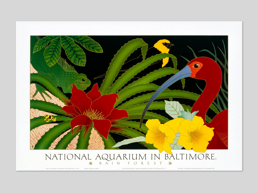 National Aquarium in Baltimore • Rainforest - by Dan Gilbert
