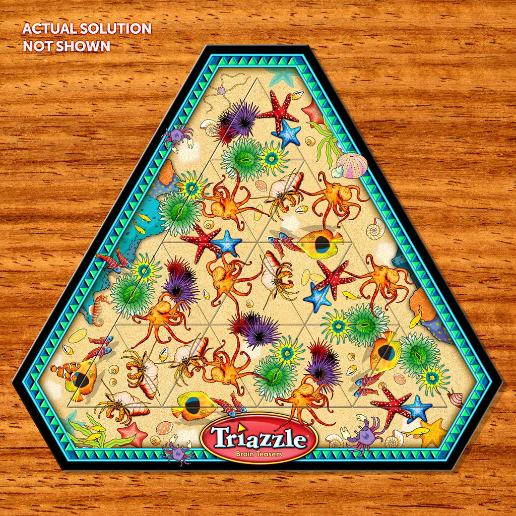 Triazzle - "Tidepool" (Tray puzzle) - designed and invented by Dan Gilbert
